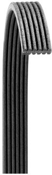 AM Serpentine Belt SKU DY6060861