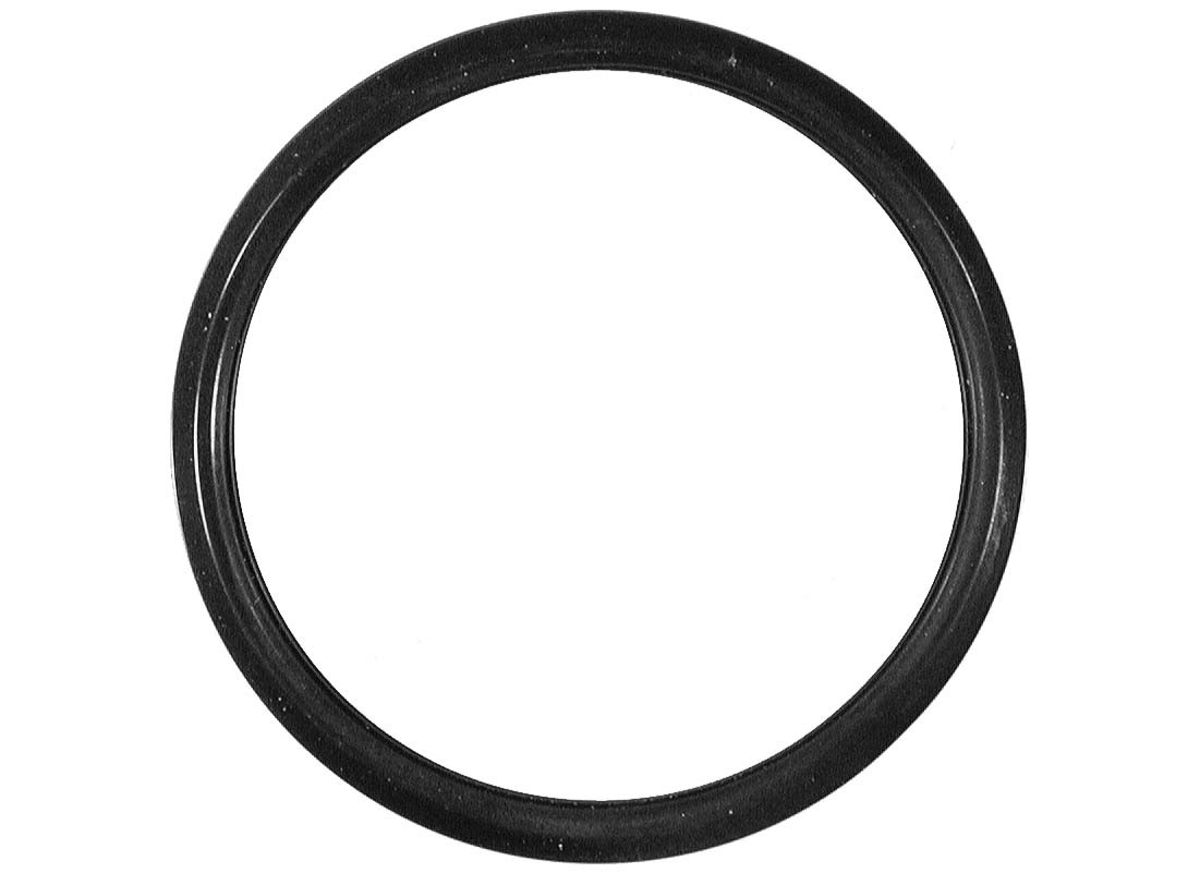 AM Thermostat Gasket SKU FAC79569 OEM 163250H020-11537791071-1632576