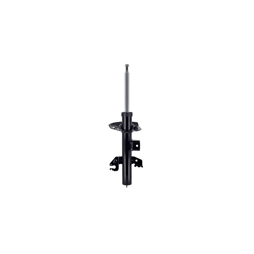 AM Shock Absorber and Strut Assembly SKU FCS337128R