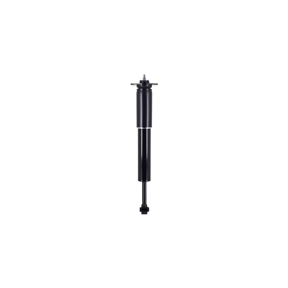 AM Shock Absorber and Strut Assembly SKU FCS346175