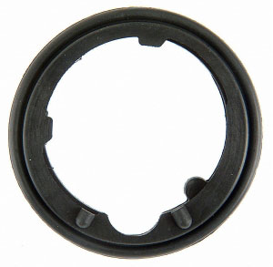 AM Thermostat Gasket SKU FP35734