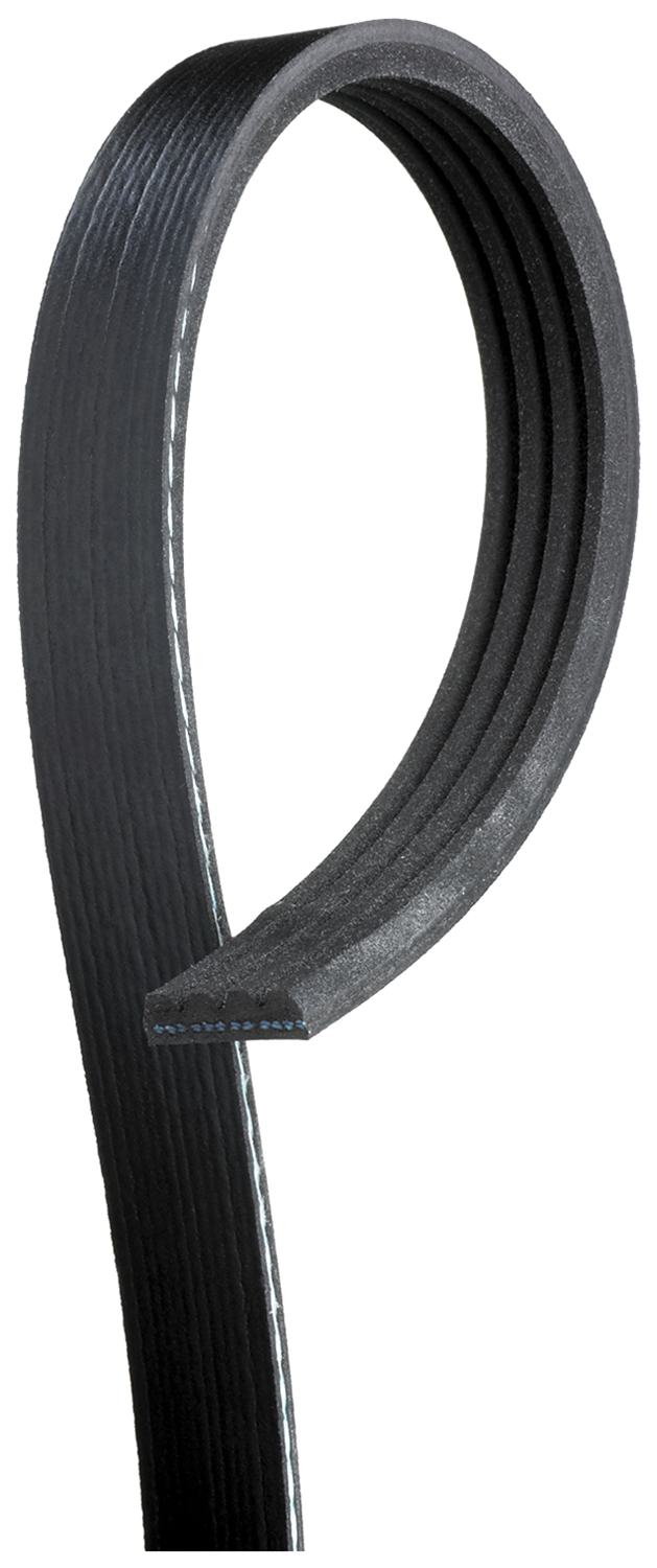AM Serpentine Belt SKU GATK040345