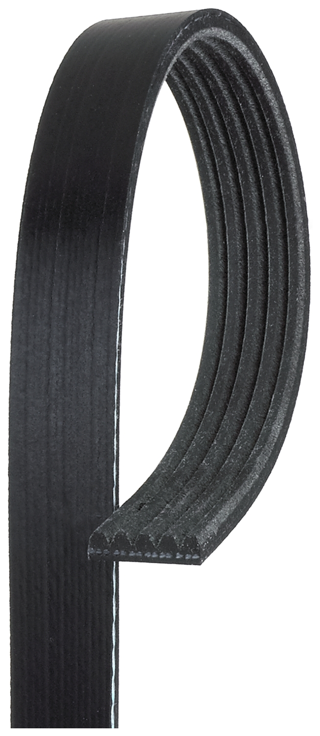 AM Serpentine Belt SKU GATK050435