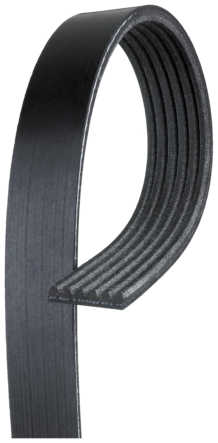 AM Serpentine Belt SKU GATK060365
