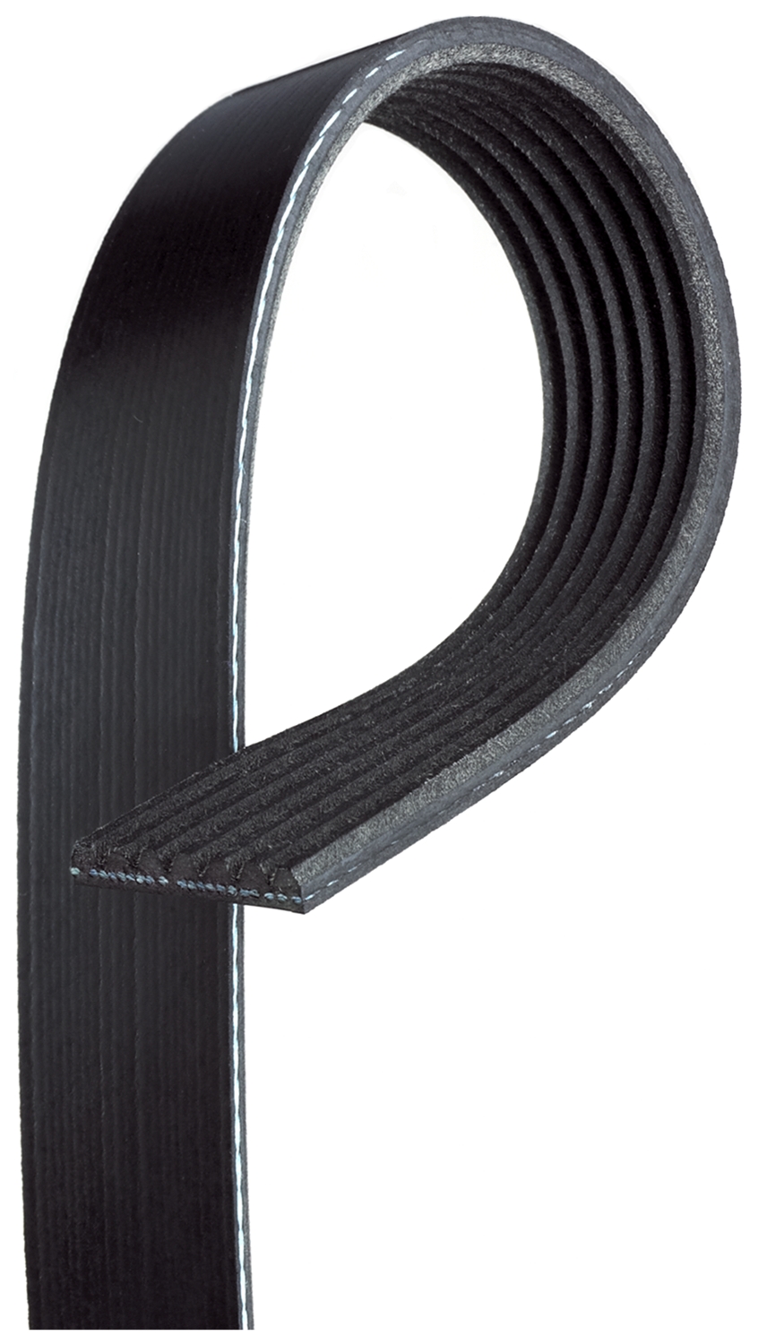 AM Serpentine Belt SKU GATK070407