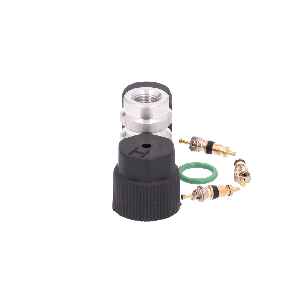 AM Cap and Valve Kit SKU GPD1311422