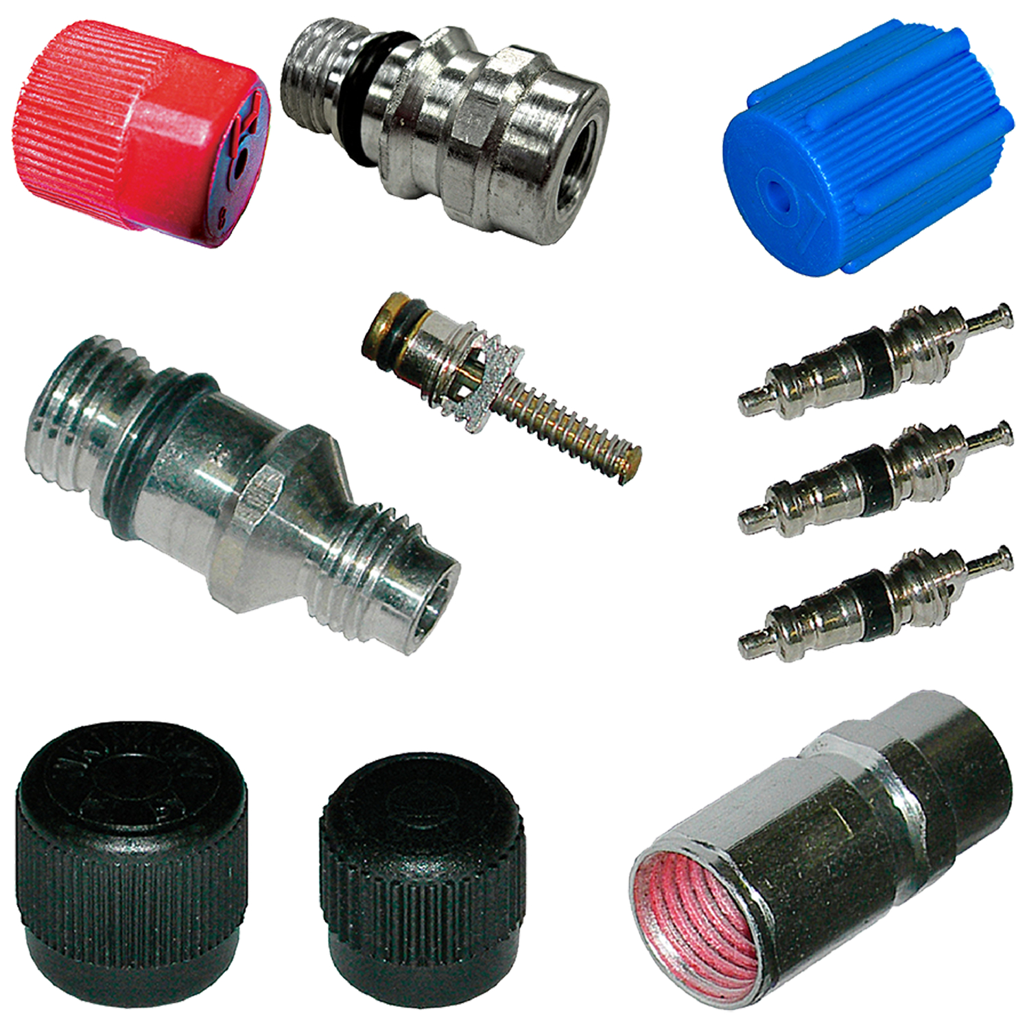 AM Cap and Valve Kit SKU GPD1311423
