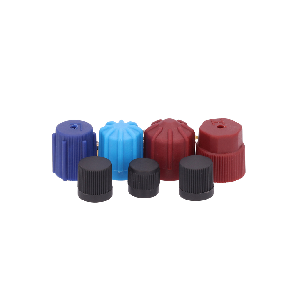 AM Cap and Valve Kit SKU GPD1311567