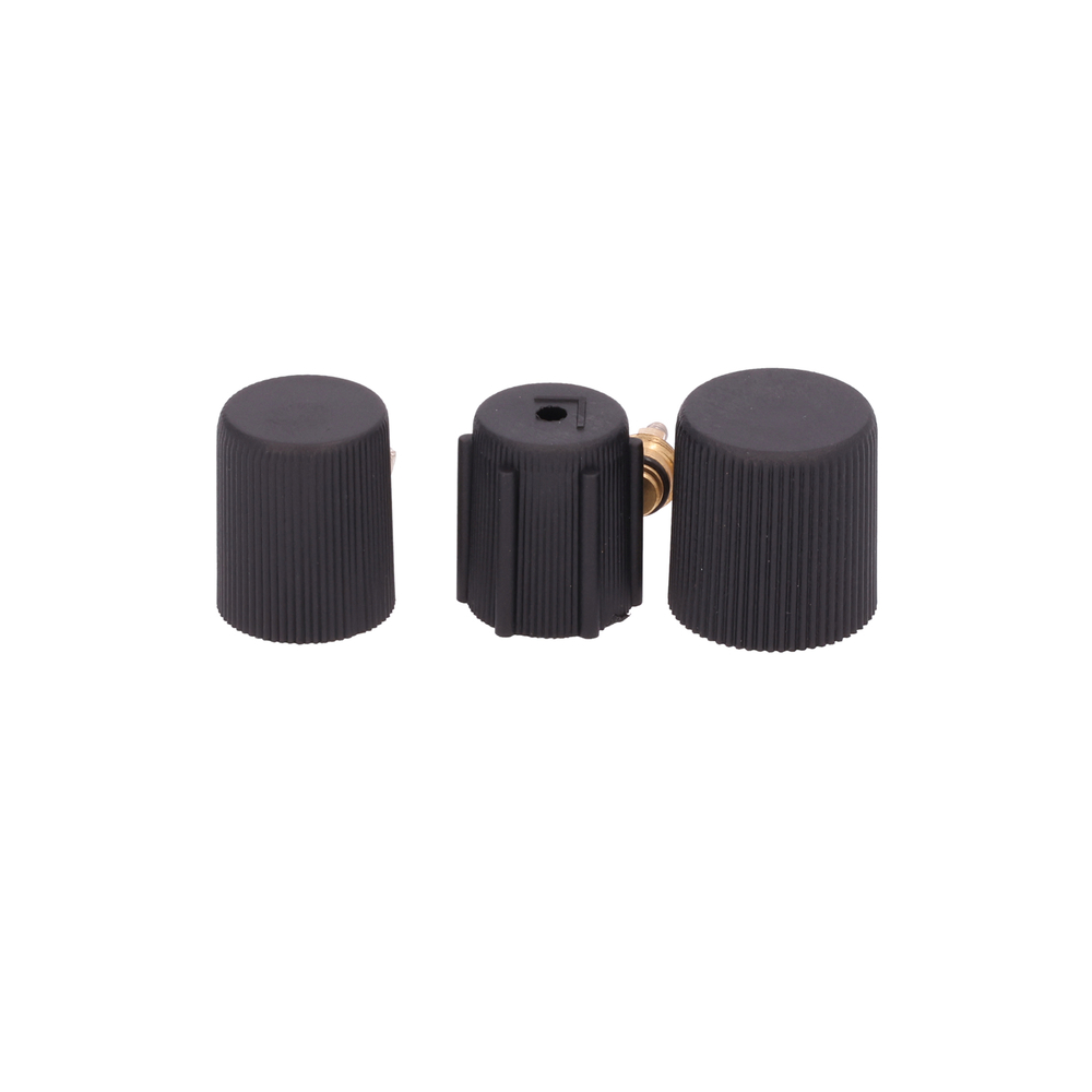 AM Cap and Valve Kit SKU GPD1311569