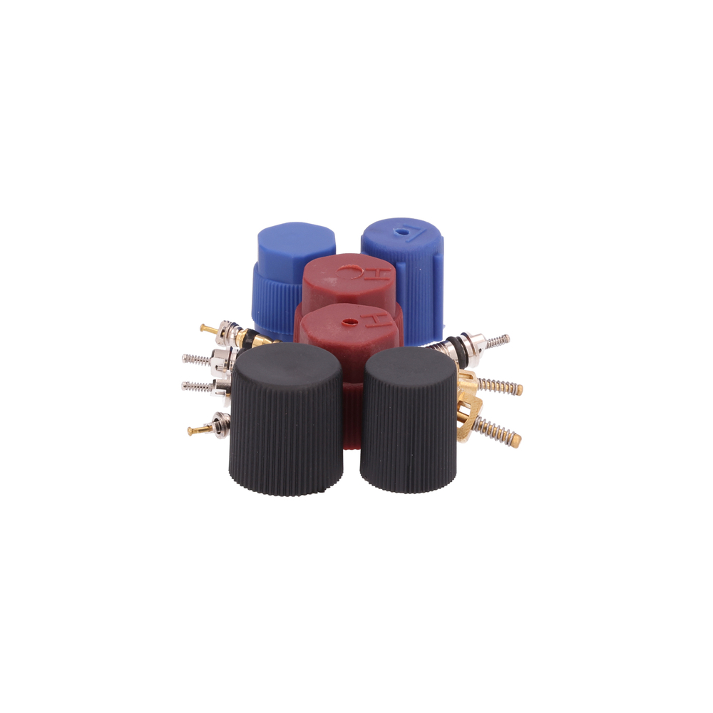 AM Cap and Valve Kit SKU GPD1311570