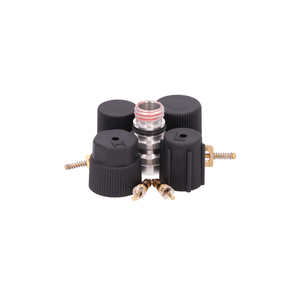 AM Cap and Valve Kit SKU GPD1311572