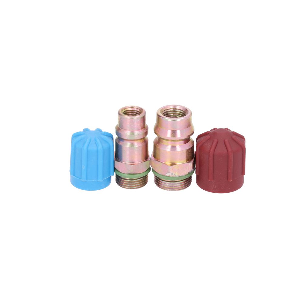 AM Cap and Valve Kit SKU GPD1311573