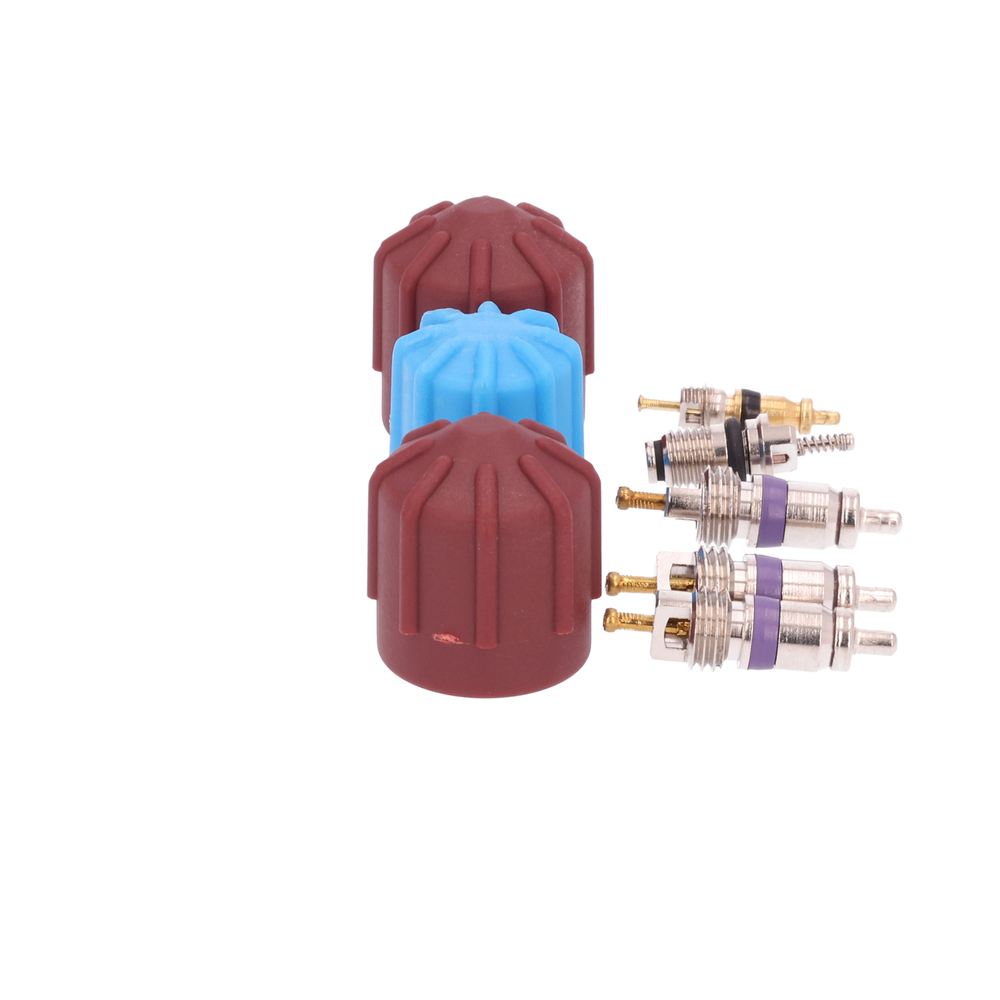AM Cap and Valve Kit SKU GPD1311574