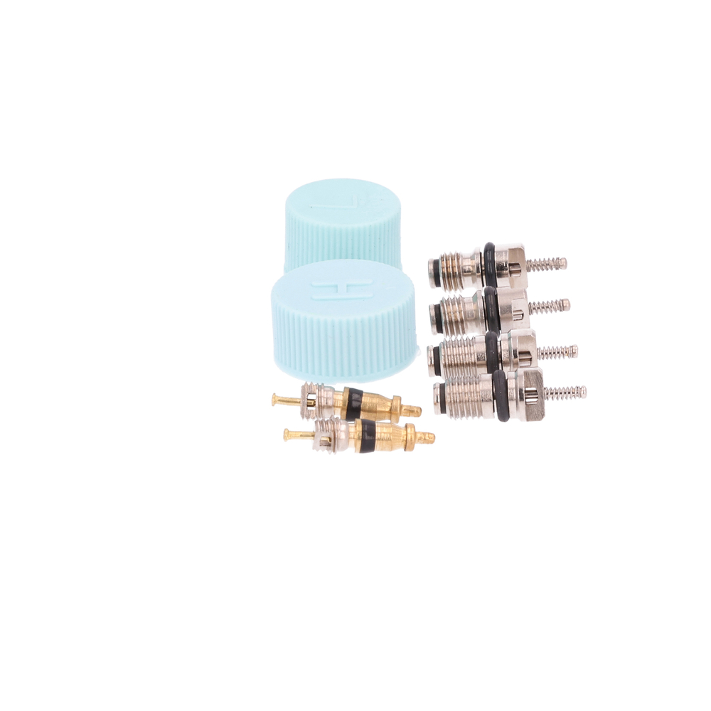 AM Cap and Valve Kit SKU GPD1311684