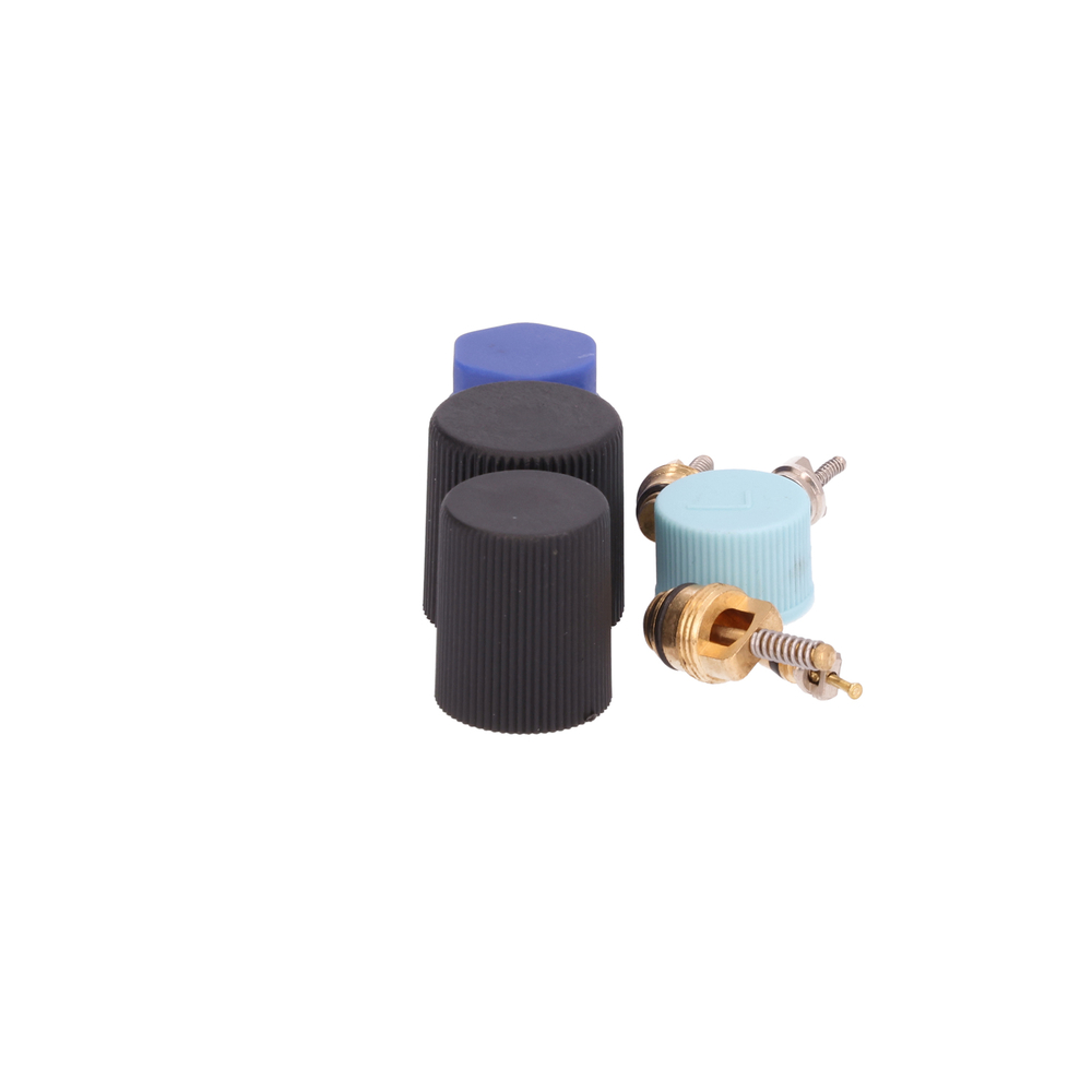 AM Cap and Valve Kit SKU GPD1321363