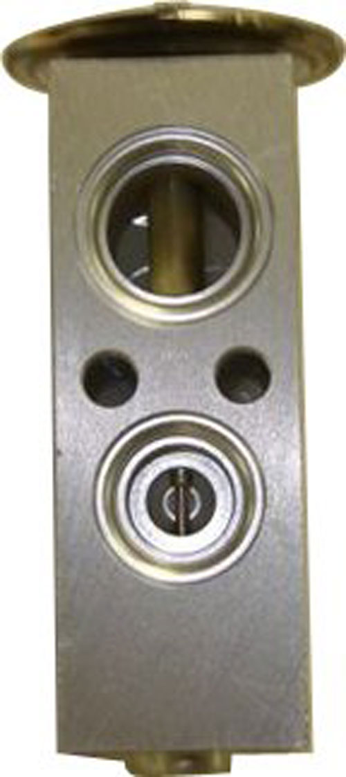 AM A C Expansion Valve SKU GPD3411829