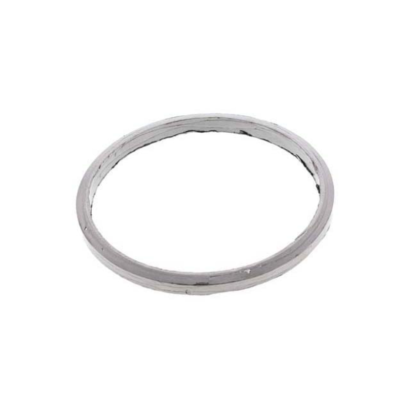 AM Exhaust Flange Gasket SKU GXL2204920281