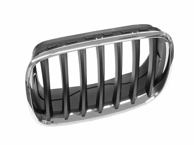 AM Grille Assembly SKU GXL51137157687