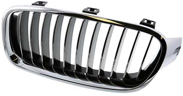 AM Grille Assembly SKU GXL51137263481