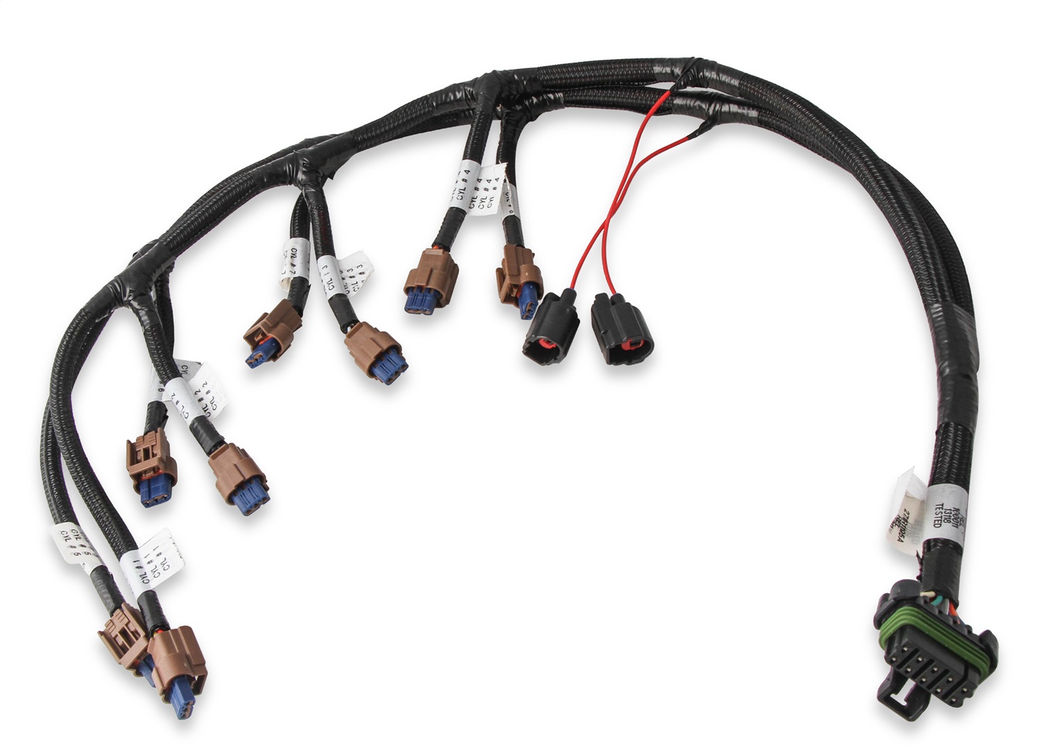 AM COIL HARNESS FORD COYOTE 2015.5+ SKU H19558322