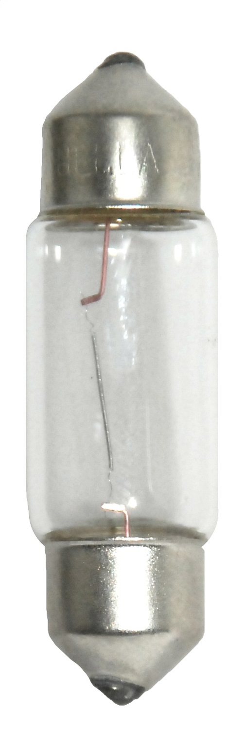 AM Light Bulb SKU H576418TB