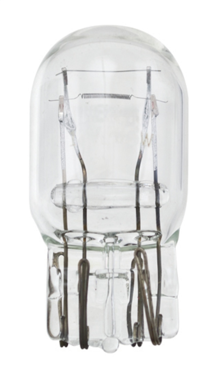 AM Light Bulb SKU H577443LL