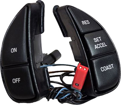 AM Cruise Control Switch SKU MISW5924