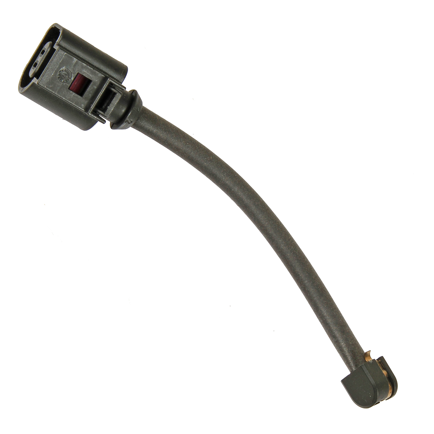 AM CAYENNE SKU P15SW1540