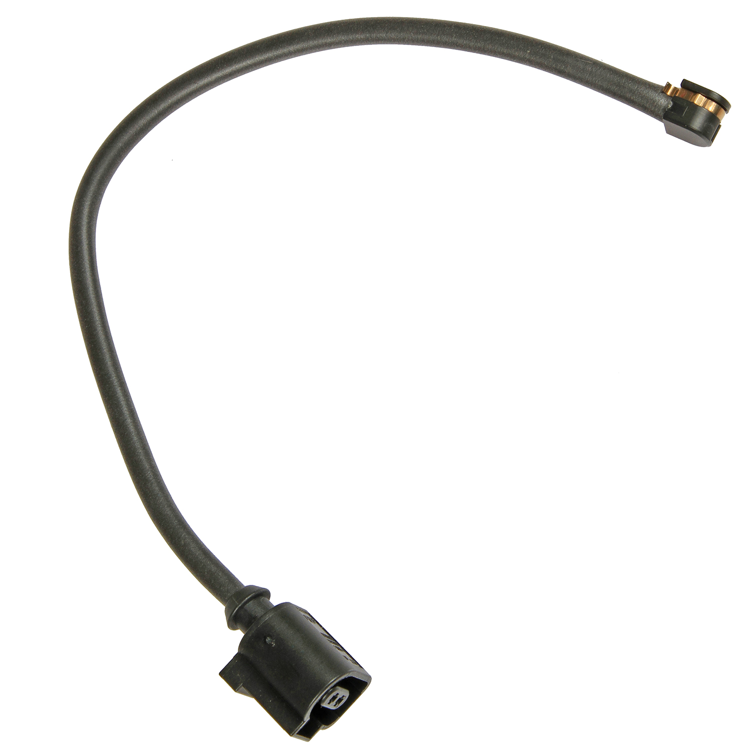 AM CAYENNE SKU P15SW1541