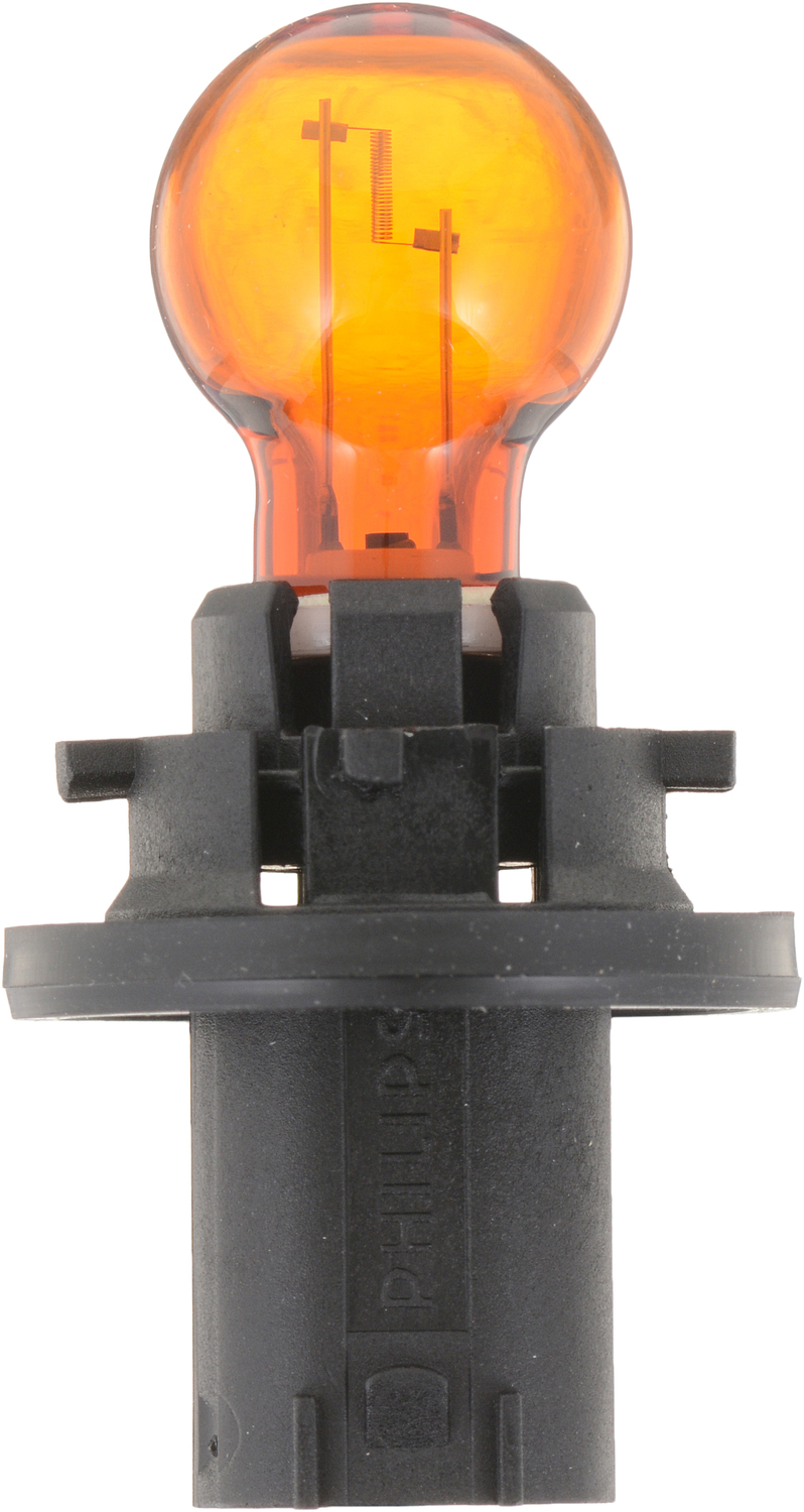 AM Light Bulb SKU PLP12271NAC1