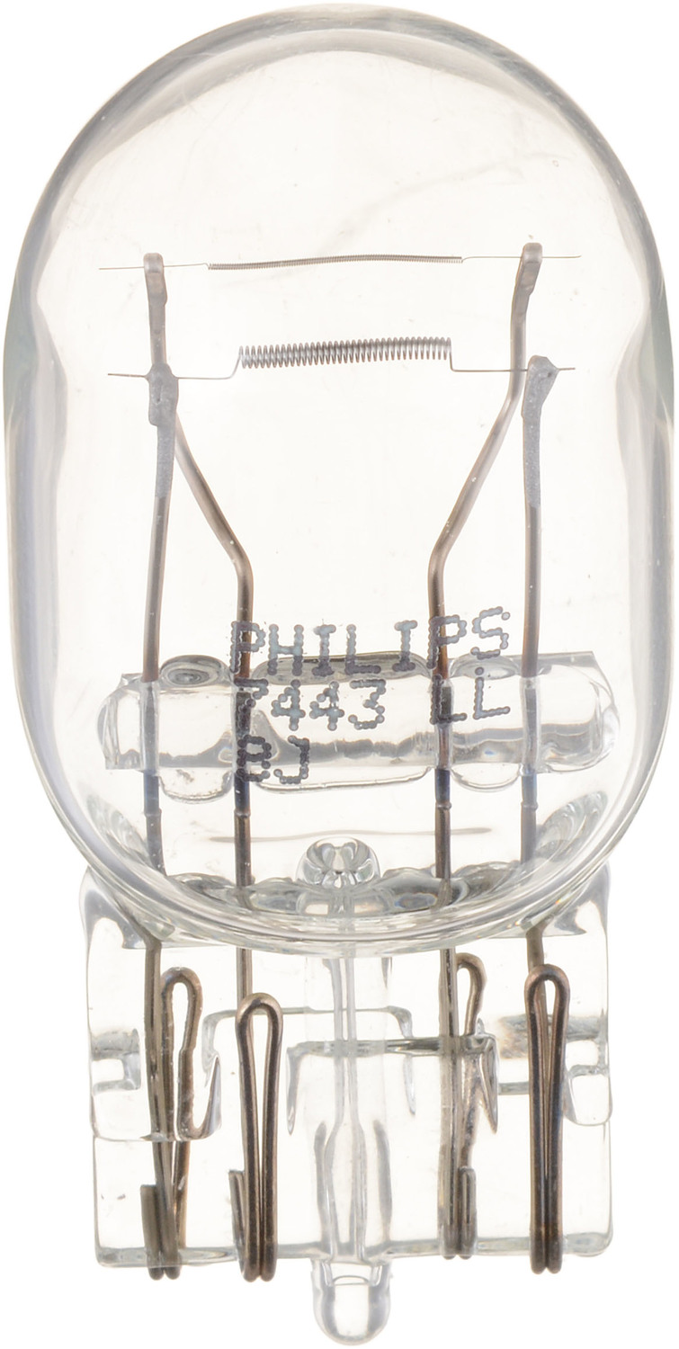 AM LongerLife Mini Bulb SKU PLP7443LLB2