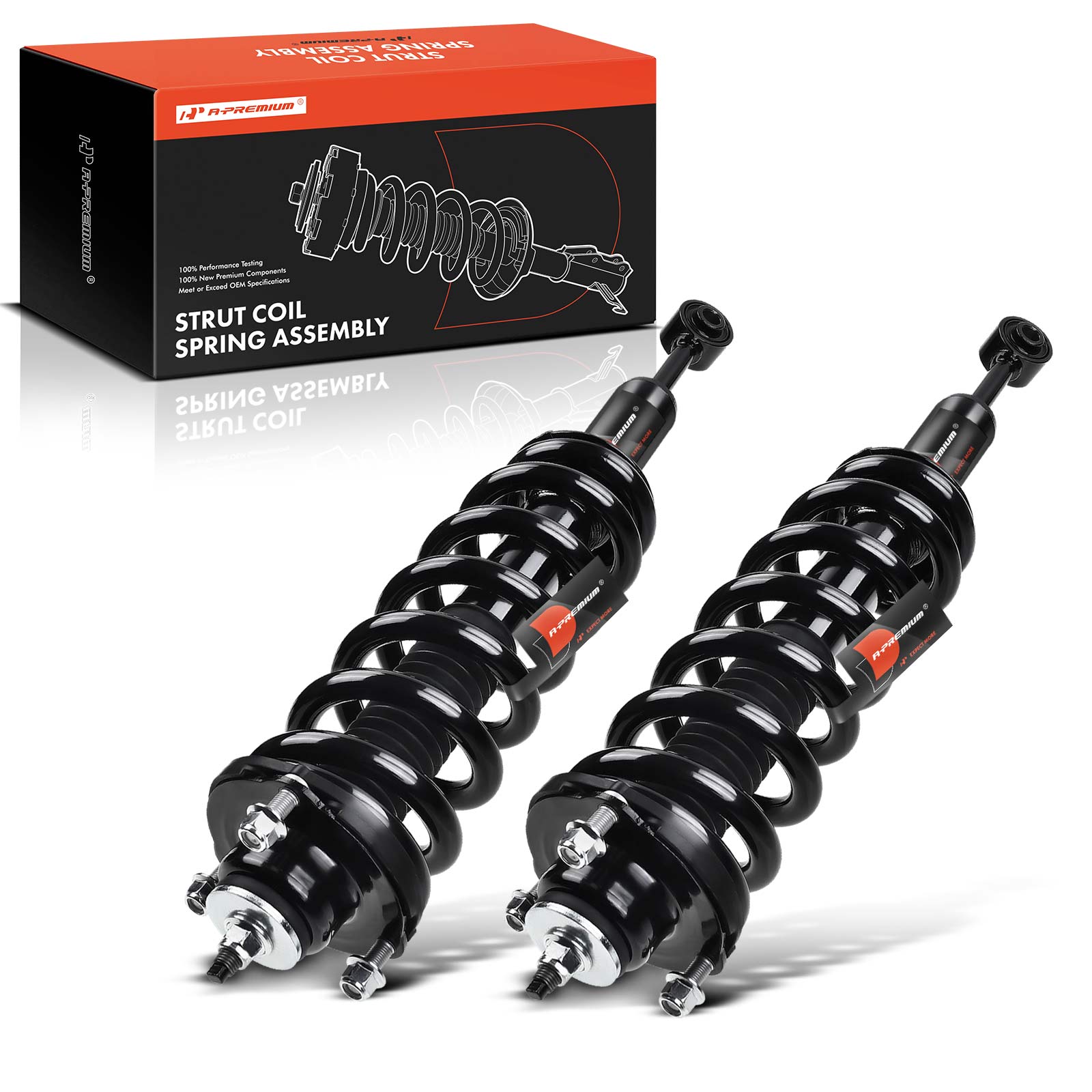 AM Shock Absorber and Strut Assembly SKU PRMAPSA0269 OEM 171371L 171371R 1345566L 13455