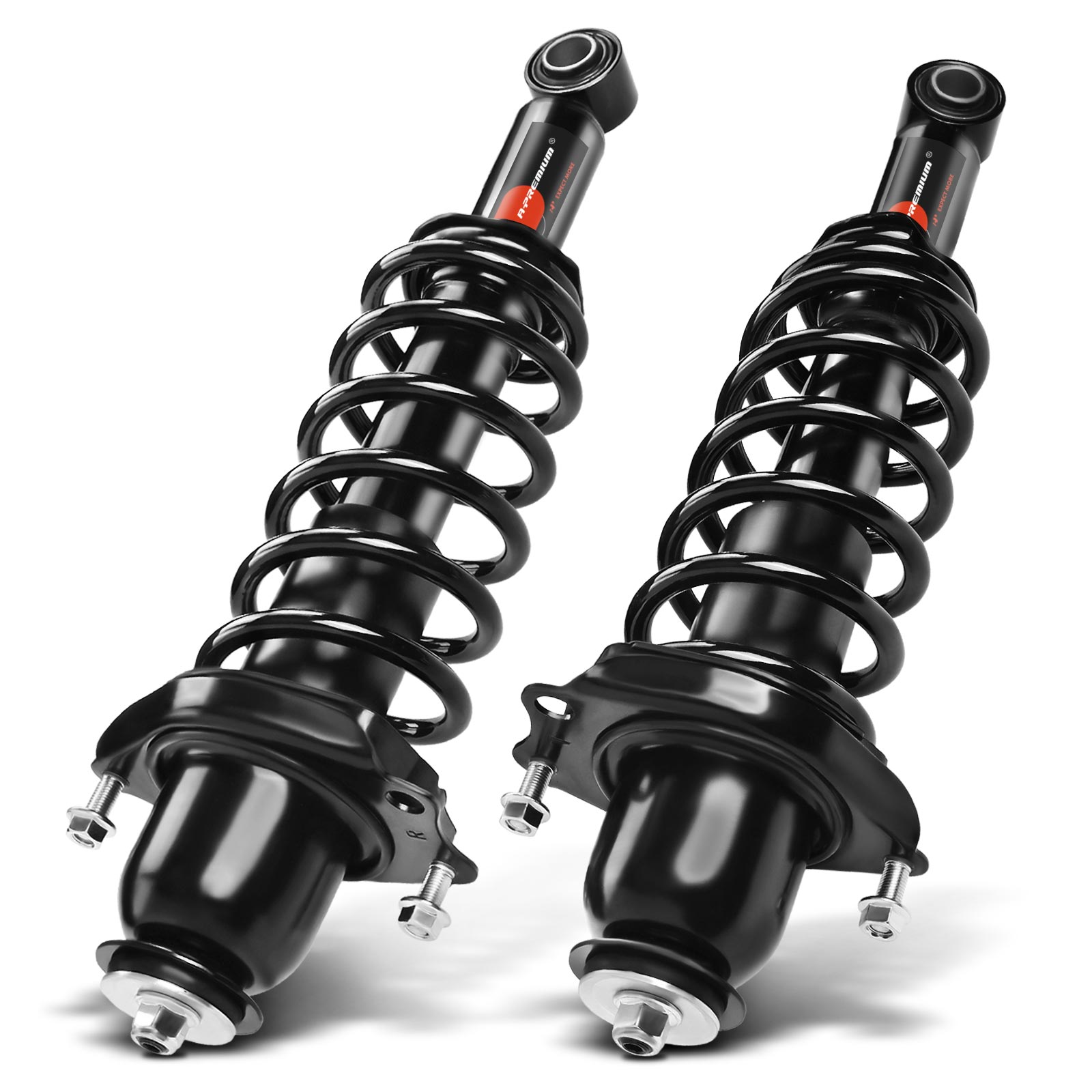AM Shock Absorber and Strut Assembly SKU PRMAPSA0504 OEM 172599L 1345689L 2345742L 1725