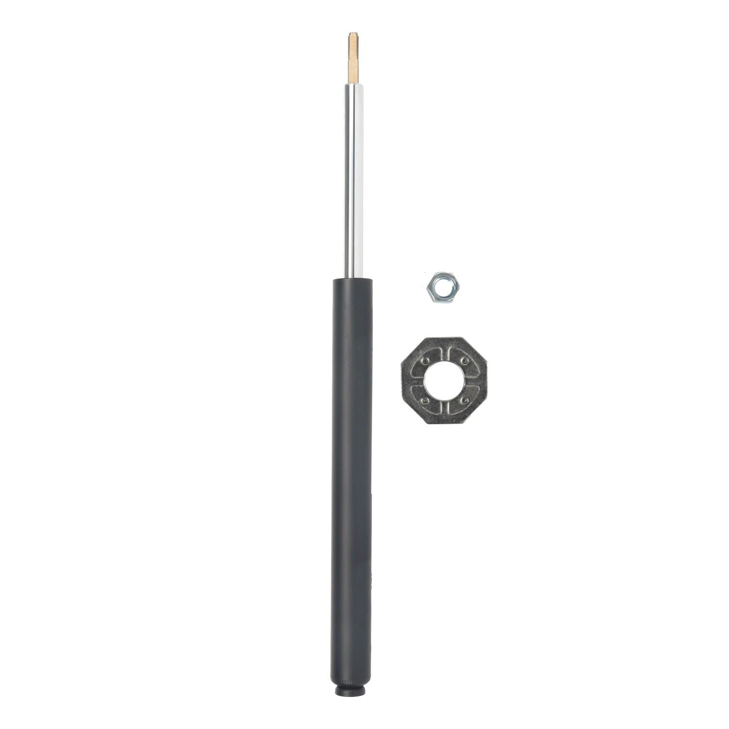 AM Shock Absorber and Strut Assembly SKU PRT272079