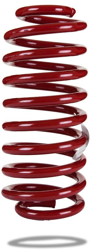 AM Rear Spring Low 2005-2014 Mustang EACH SKU PSPED220009