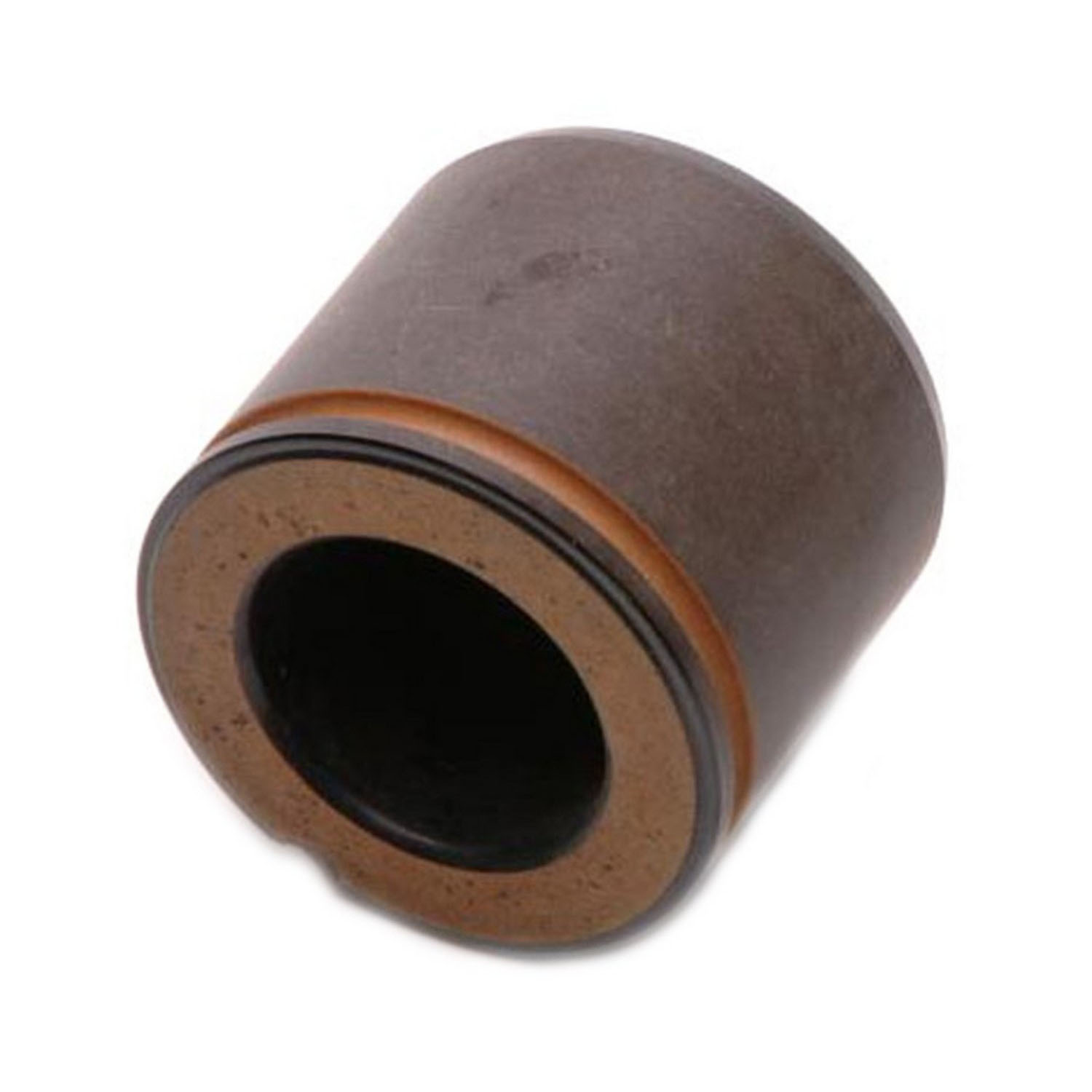 AM Brake Caliper Piston SKU RAYDP85030
