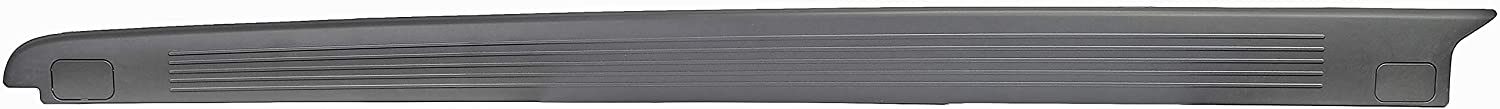 AM Bed Rail Cover SKU RB926935 OEM 4L3Z99291A41BAA