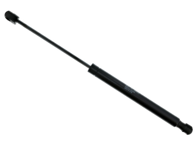 AM Lift Support SKU S22309800264