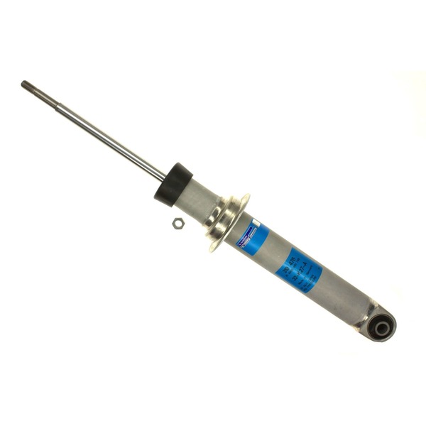 AM Shock Absorber and Strut Assembly SKU S2310476