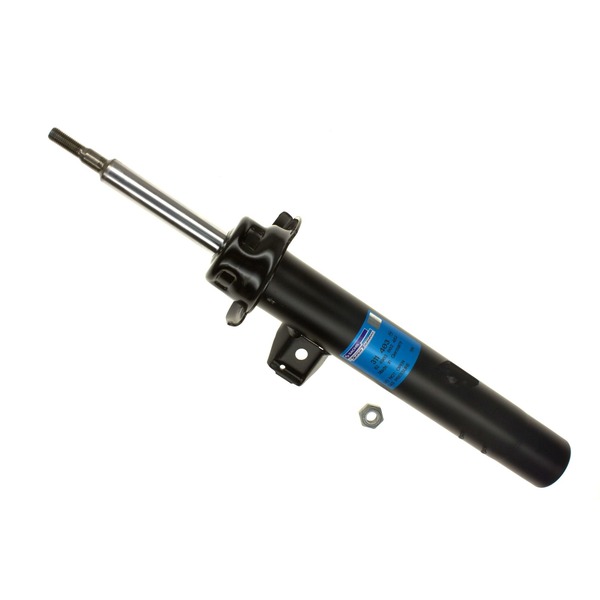 AM Shock Absorber and Strut Assembly SKU S2311403