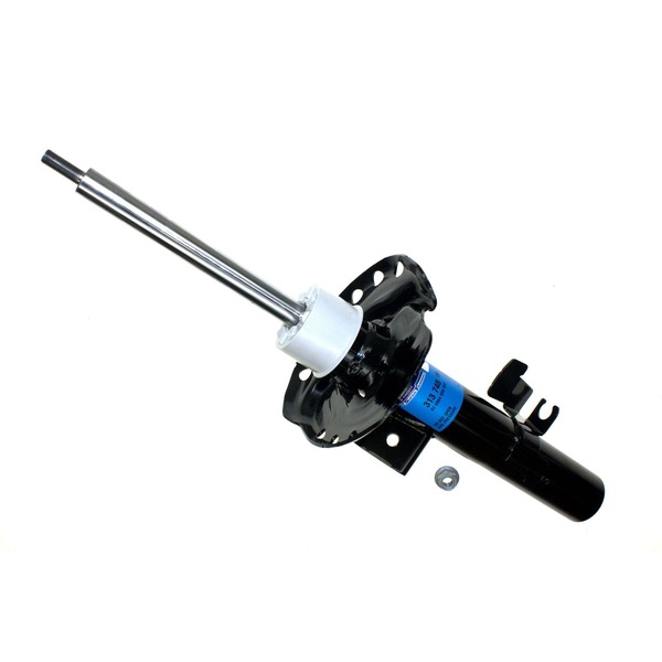 AM Shock Absorber and Strut Assembly SKU S2313748
