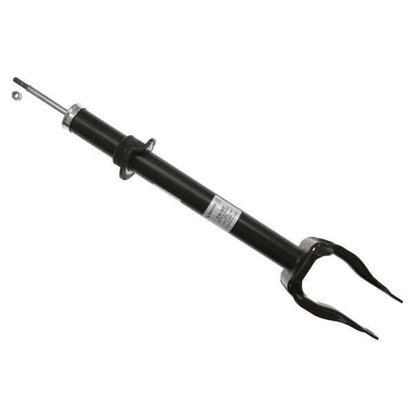 AM Shock Absorber and Strut Assembly SKU S2316297