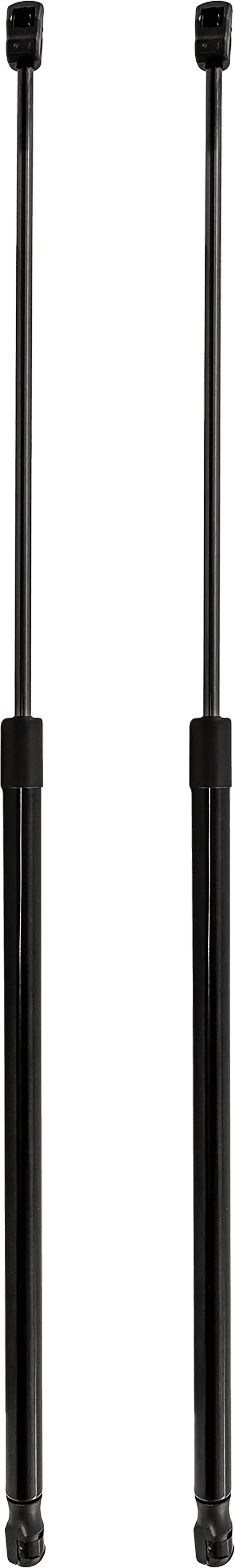 AM A4-02-06 LIFT SUPPORT RH AND LH Gas Charged SKU SET JA131101-2