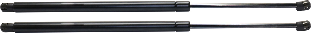 AM MDX 01-06 LIFT SUPPORT RH AND LH Hatch SKU SET RA61290001-2 OEM 74820S3VA02