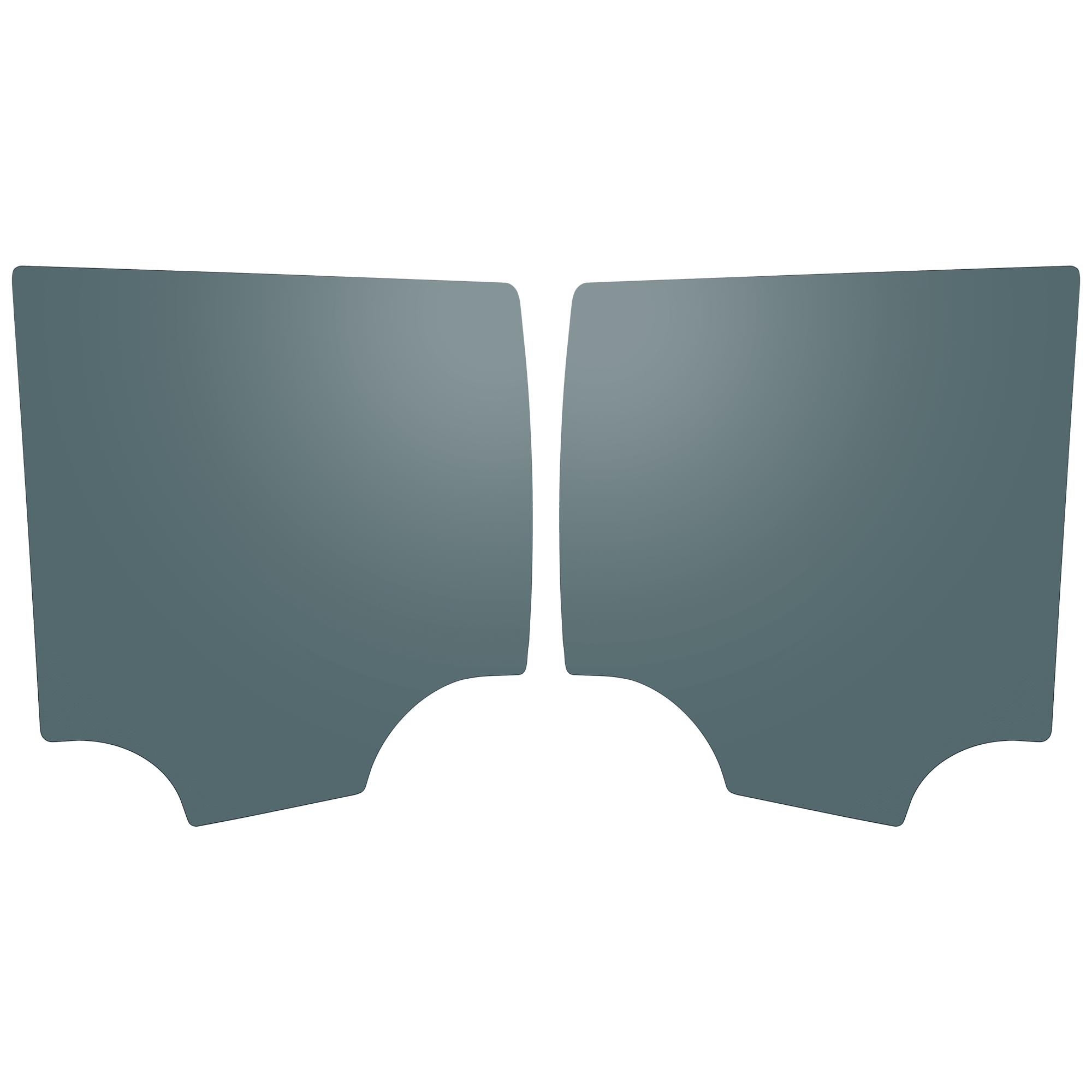 AM SUBURBAN YUKON XL 15-20 REAR DOOR GLASS RH AND LH Gray Tint Privacy w Solar SKU SET RC48130055 OEM 84321993-84321994
