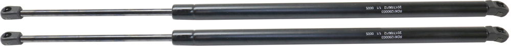 AM GRAND CARAVAN TOWN COUNTRY 09-16 LIFT SUPPORT RH AND LH Liftgate SKU SET RD61290003-2 OEM 6257-901846-8196563-4589655AB