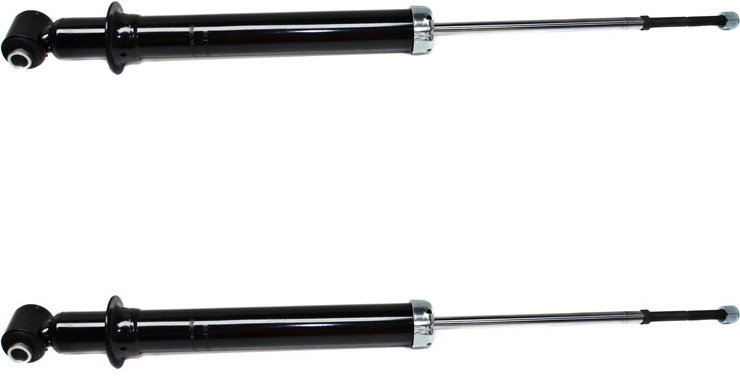 AM L300-01-05 L200-01-03 REAR BARE STRUT RH AND LH Gas Charged Twin tube Set of 2 SKU SET REPS280725-2 OEM 22684918