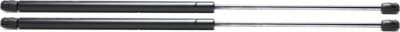 AM BEETLE 98-10 LIFT SUPPORT RH AND LH Set of 2 Trunk Lid SKU SET REPV131106-2 OEM 4325-510764-901674-8194154-1C0