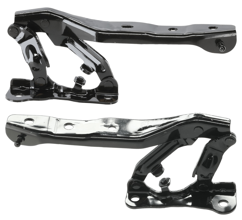 AM EV6-22-24 HOOD HINGE RH AND LH SKU SET RK13030009 Partslink KI1236195 KI1236196 OEM 66910CV000-66920CV000