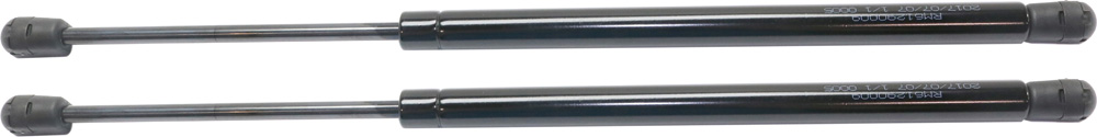 AM S CLASS 00-06 LIFT SUPPORT RH and LH Trunk Lid SKU SET RM61290005-2 OEM 2207500136-2207500236